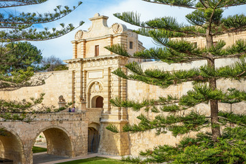 Malta island, history and nature