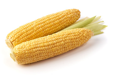 Fresh ears of corn isolated on white background.