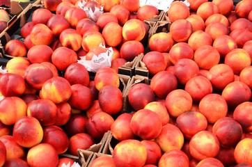 Marché dominical de la place du Miroir à Jette (Bruxelles) : Fruits

