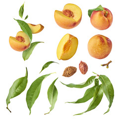 Set with different parts of fresh ripe peaches and leaves