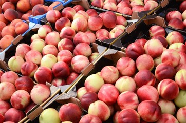 Marché dominical de la place du Miroir à Jette (Bruxelles) : Fruits

