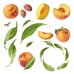 Set with different parts of fresh ripe peaches and leaves