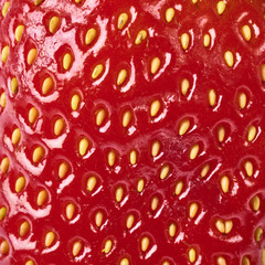 close-up texture of strawberry macro image