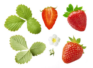 Collection with Fresh juicy strawberry isolated