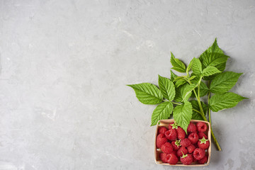 fresh and ripe raspberry in wooden bascet, green leaves
