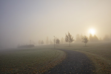 Naklejka premium A very foggy autumn morning in Finland. There are autumn trees in the photo. The sun shines brightly in front. The pedestrian road passes across the picture.