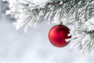 Fototapeta na wymiar Christmas decorations on the pine branch
