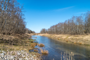 Spring, sunny day on river