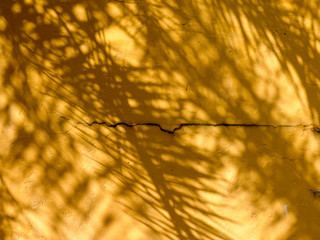 abstract background texture of shadows leaf on yellow concrete wall