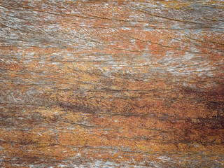 grunge wood Texture background for design