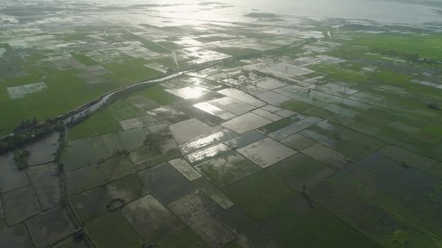 Aerial view of agricultural land, rice terraces near the lake Bato, Philippines, Luzon. Tropical landscape, lake, farm land.