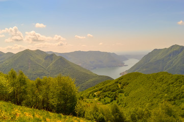 A summer day picture of green trees and plants on a mountain hill with the background of the cloudy sky and a river visible