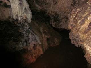 Interesting growths are in the cave. 