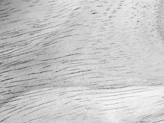 black and white wood texture background
