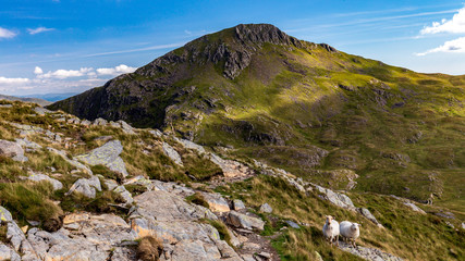 Snowdonia Hill Landscape National Park in Wales at Mount Snowdon