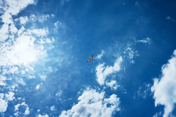 Fototapeta na wymiar A large kite floats high in the sky among the clouds against the blue sky and the bright summer sun and it is controlled by two white ropes going to the ground