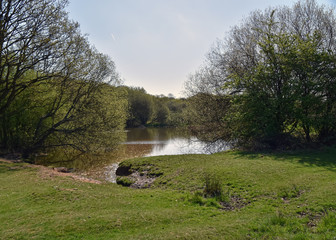 Epping Forest