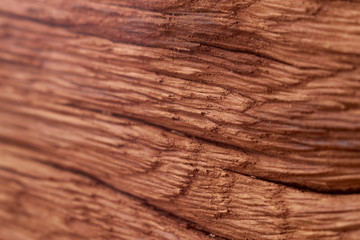 Wood texture close-up.