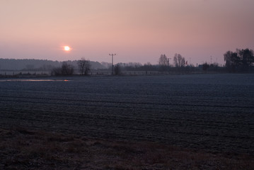 Fototapeta premium Fantasy forest. Symmetry in sunrice. Nobody on field