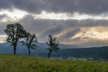 Obraz premium Bieszczadzki świt, Letni poranek w Bieszczadach