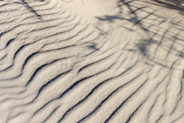 Small sandy dunes with branch shadow