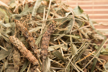 Traditional Chinese herbal health medicine ginseng.