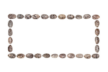 Chia seed arranged in a rectangle shape isolated on white background