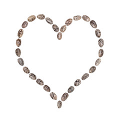 Chia seed arranged in a heart shape isolated on white background