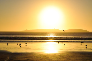 Scenic coastal view with seagulls at sunset 4