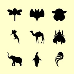 animal icons set. fever, dangerous, care and dry graphic works
