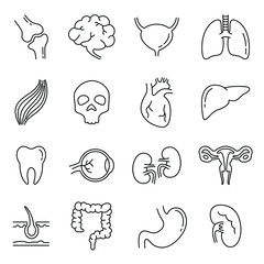 Internal organs related icons: thin vector icon set, black and white kit