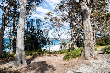 hyams beach