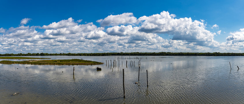 Parc Ornithologique near Bordeaux France