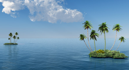 Group of palms on a small island- 3D rendering