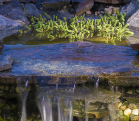 Yard waterfall over a pond