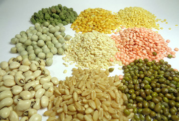 pulses grain