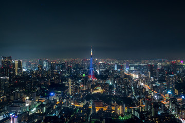 Fototapeta na wymiar 東京の夜空と都市夜景１