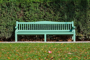 Front side of wooden green painted bench in the park and green shrub background behind the seat.