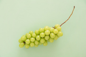 シャインマスカット