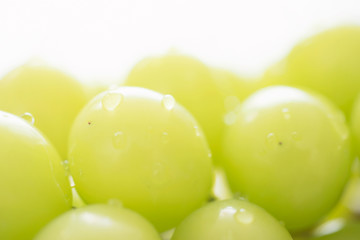 シャインマスカット