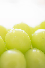 シャインマスカット