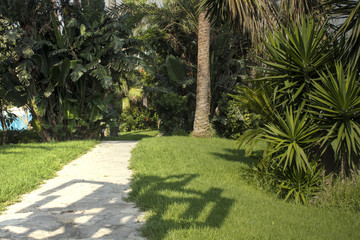 Curved path in the garden