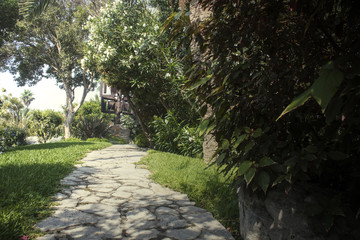Curved path in the garden