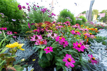 Buntes Blumenbeet