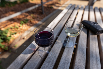 Auf einer Parkbank Wein genießen. Weinfest