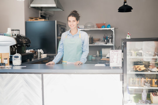 Portrait of smiling female barista wearing apron looking at camera while standing at counter in small coffee shop or cafe, copy space