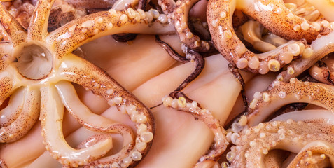 raw squid prepared for cooking
