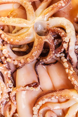 raw squid prepared for cooking