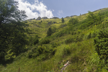 Fototapeta premium Beautiful mountain view from the entrances on the path to the Eho hut. The Troyan Balkan is exceptionally picturesque and offers a combination of wonderful mountain scenery, fresh air.