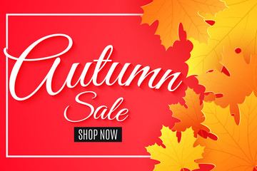 Autumn sale. Advertising seasonal banner. Greeting card. Calligraphy and lettering. Orange maple leaves. Pink background. Vector illustration